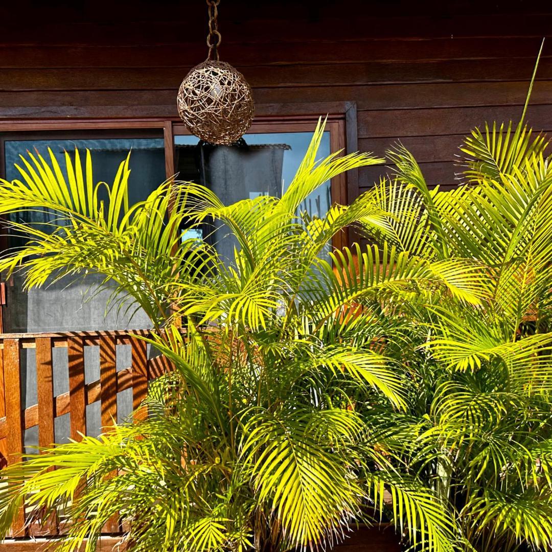 Ecoco Holbox - Ecochic - Cabanas De Madera - Holbox Retreat Kültér fotó